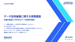 データ活用基盤に関する実態調査